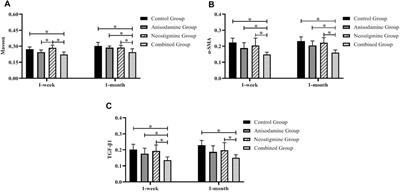 Therapeutic Effect of Combining Anisodamine With Neostigmine on Local Scar Formation Following Roux-en-Y Choledochojejunostomy in a Novel Rat Model